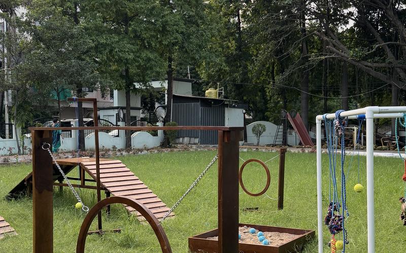JOJO Canine Sensory Playground — 1,000 sq. ft. private turf at Lume, Sitabuldi, Nagpur