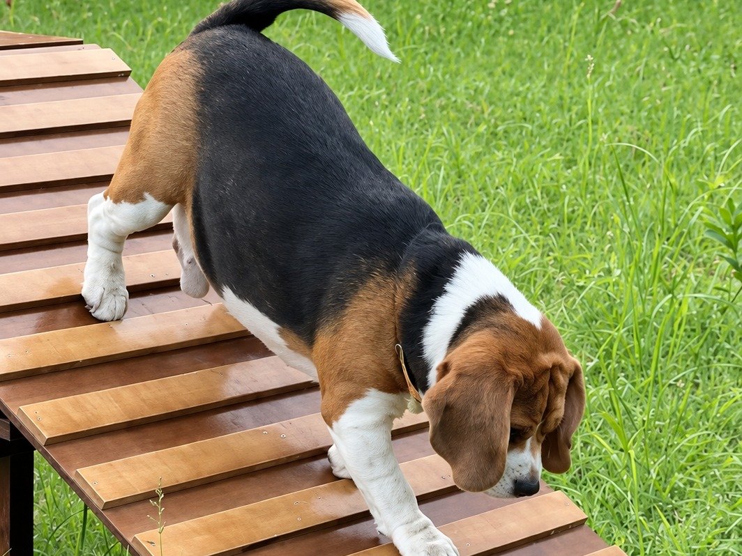 A-Frame Bridge with dual slides and incline ramp